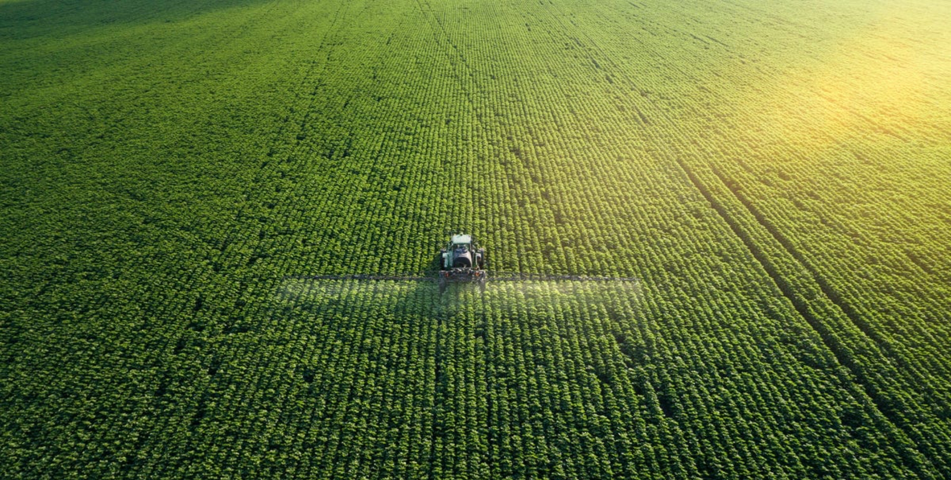 https://polygonfarming.com/Innovations in Farming Product Development: How We're Driving Efficiency and Productivity in Agriculture