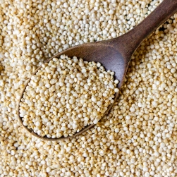 Quinoa