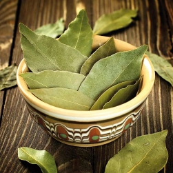 Bay Leaves